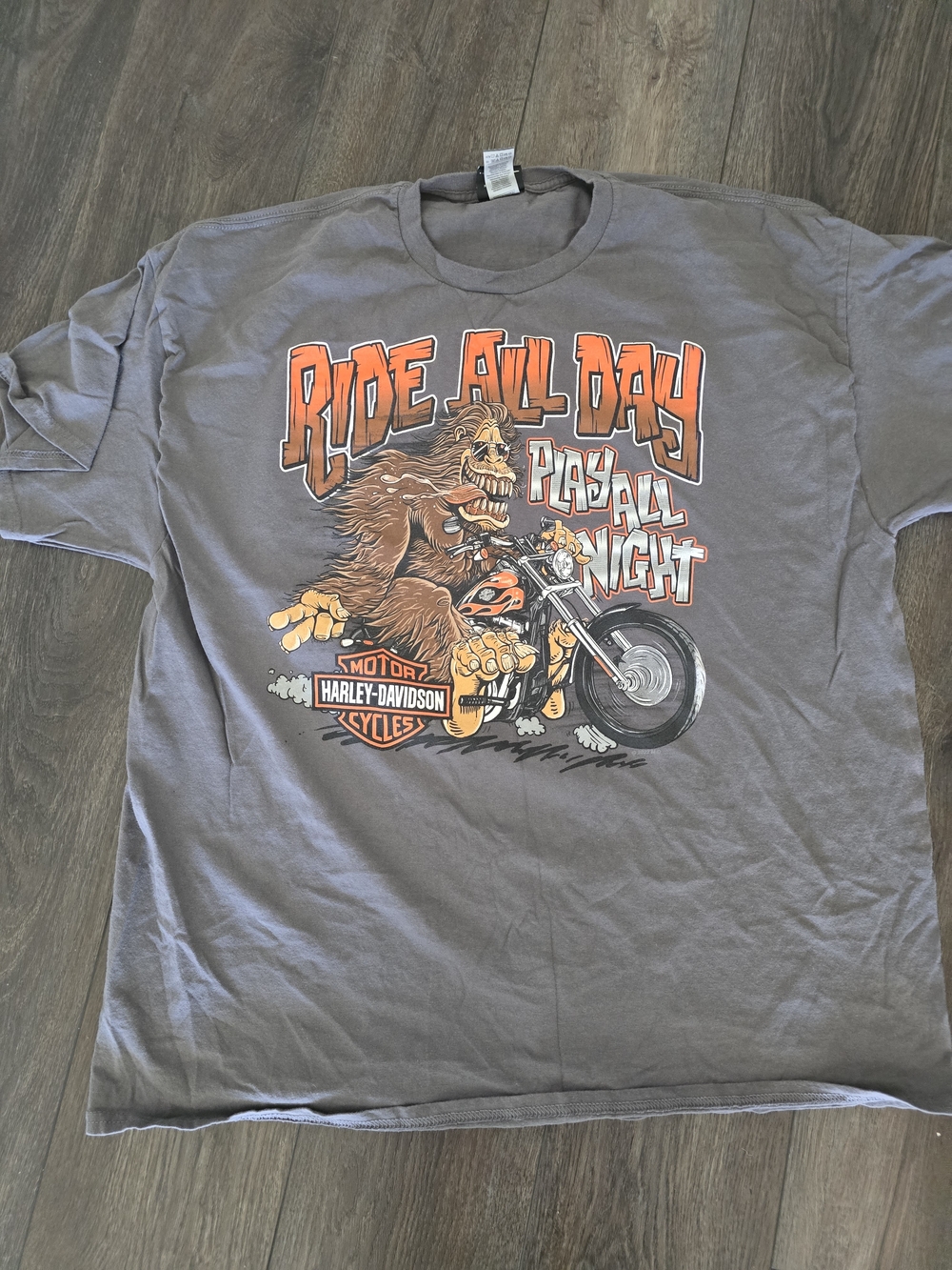 XSOLDX Harley-Davidson Men’s Gray 'Ride All Day' Graphic T-Shirt